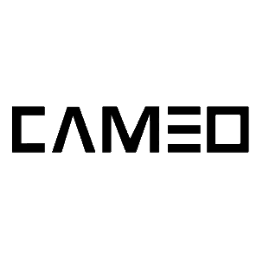 Cameo Consulting Group LLC