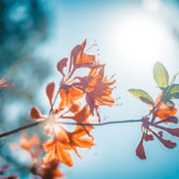 Jam Sustainability Services LLC