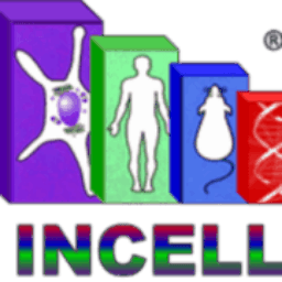 Incell Corporation, LLC