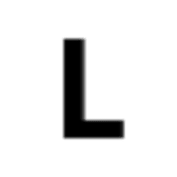 Louisiana Technology Group Inc.