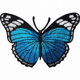 All About You Womens Boutique LLC