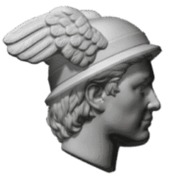 Icylon LLC