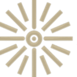 Raisun Technology Services LLC