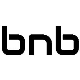 BNB Industries Inc.