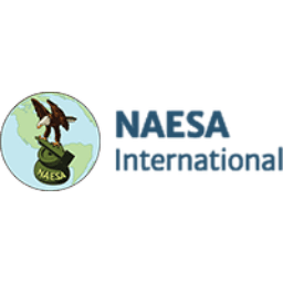 Naesa International