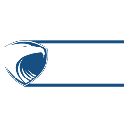 National Protective Services Inc.