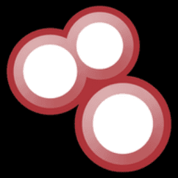 Shodan, LLC