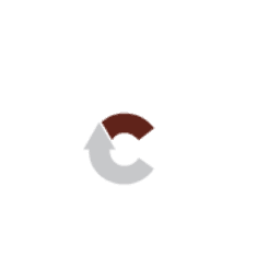 Coltcam LLC