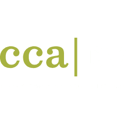 Connecticut Coalition Against Domestic Violence Inc.