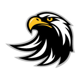 Vet IT LLC