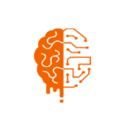 Braingu LLC