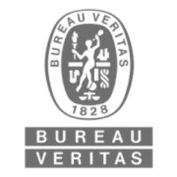 National Elevator Inspection Services, Inc.