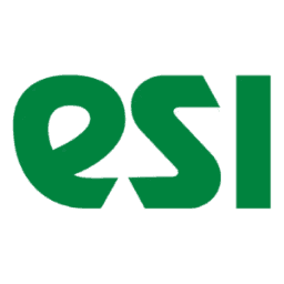 Esi Technology Limited