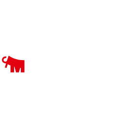 Mammoet USA South, Inc.