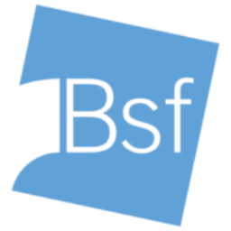 B.S.F. S.R.L.