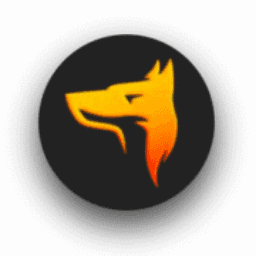Wisefox Solutions, Inc.