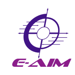 Enterprise Architecture And Information Management Inc.