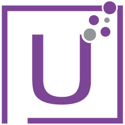 US Software Professionals Inc.