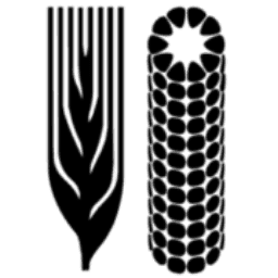 Centro Internacional De Mejoramiento De Maiz Y Trigo Internacional