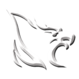 New Phoenix Aerospace Inc.