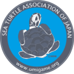 Sea Turtle Association Of Japan