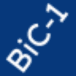 Bic-1 LLC