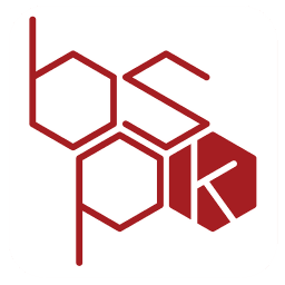 Bespoke Engineering LLC