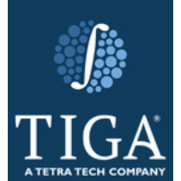 The Integration Group Of Americas, Inc.
