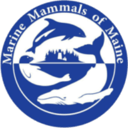 Marine Mammals Of Maine