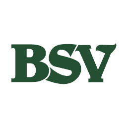 Bank Of Southside Virginia Corporation, The