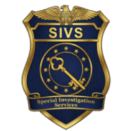 Savvy Professor LLC