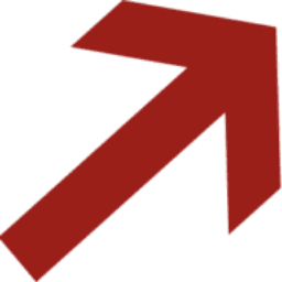 Lectica Inc.