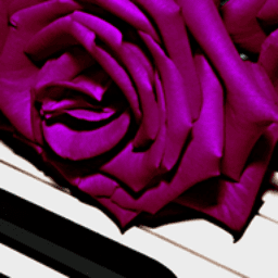T Rose Productions