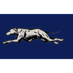 Manchester Local School District