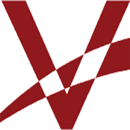 Veteran Enterprise Solutions Incorporated