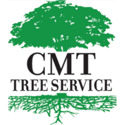 CMT Professional Services, L.L.C.