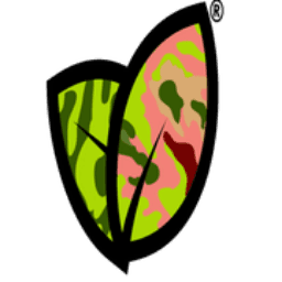 Ai57 LLC