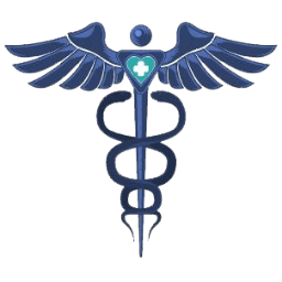 Elmed Inc.