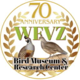 Western Foundation Of Vertebrate Zoology