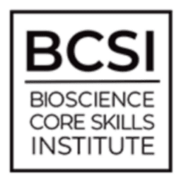 Core Skills Institute