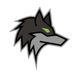 Dark Wolf Solutions, LLC