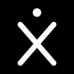 Citrix Systems Inc.