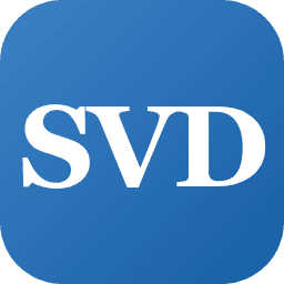 SVD Solutions LLC