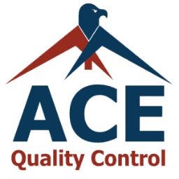 Allerion Consulting Group, Inc.