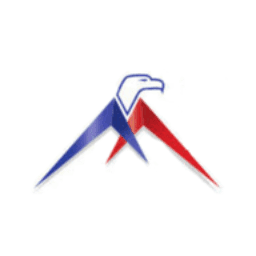 Mission Critical Services, Inc.