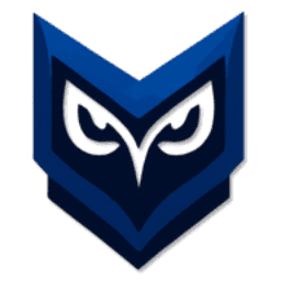 MVN LLC