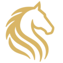Equus Computer Systems, Inc.