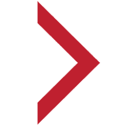 National Minority Aids Council