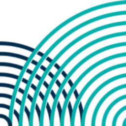 The Baton Rouge Area Foundation