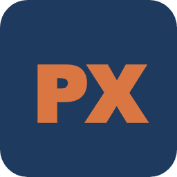 Patriot X LLC